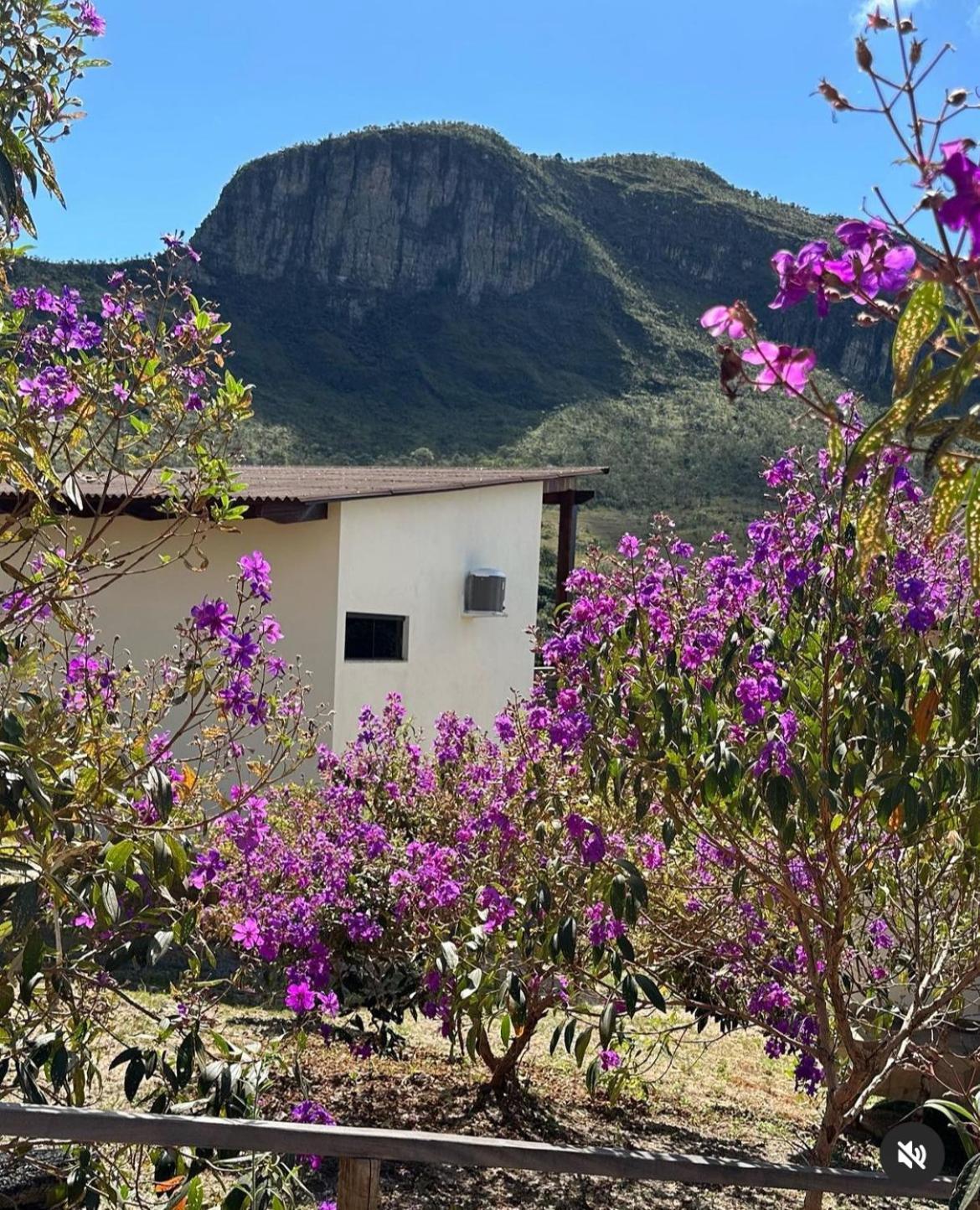 Pousada Rancho Dos Ipes Alto Paraíso de Goiás Zewnętrze zdjęcie