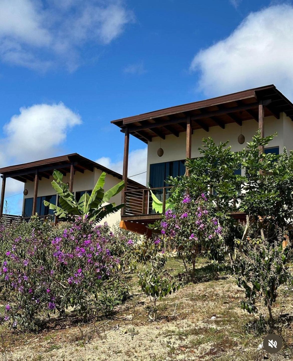 Pousada Rancho Dos Ipes Alto Paraíso de Goiás Zewnętrze zdjęcie