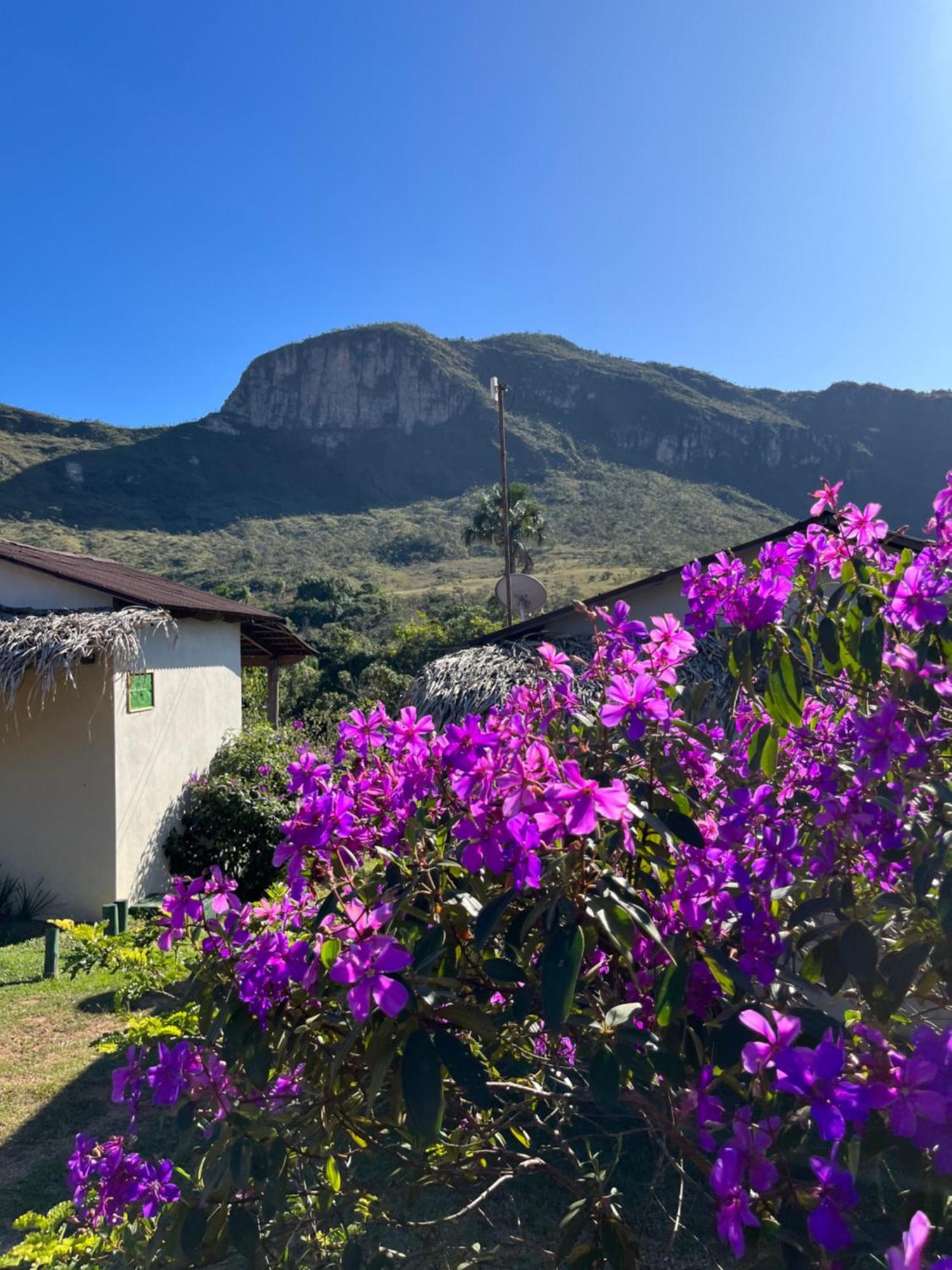 Pousada Rancho Dos Ipes Alto Paraíso de Goiás Zewnętrze zdjęcie