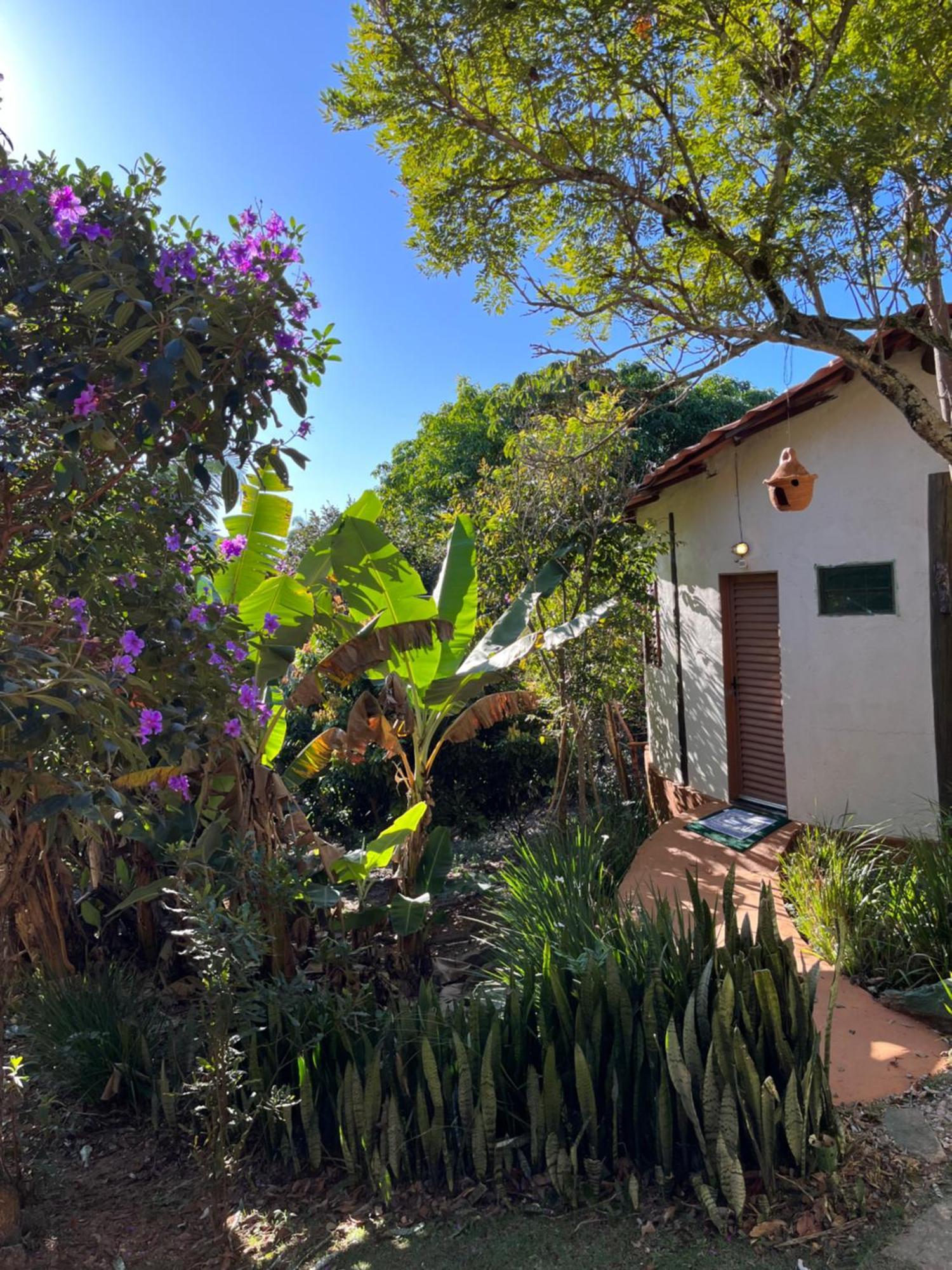 Pousada Rancho Dos Ipes Alto Paraíso de Goiás Pokój zdjęcie